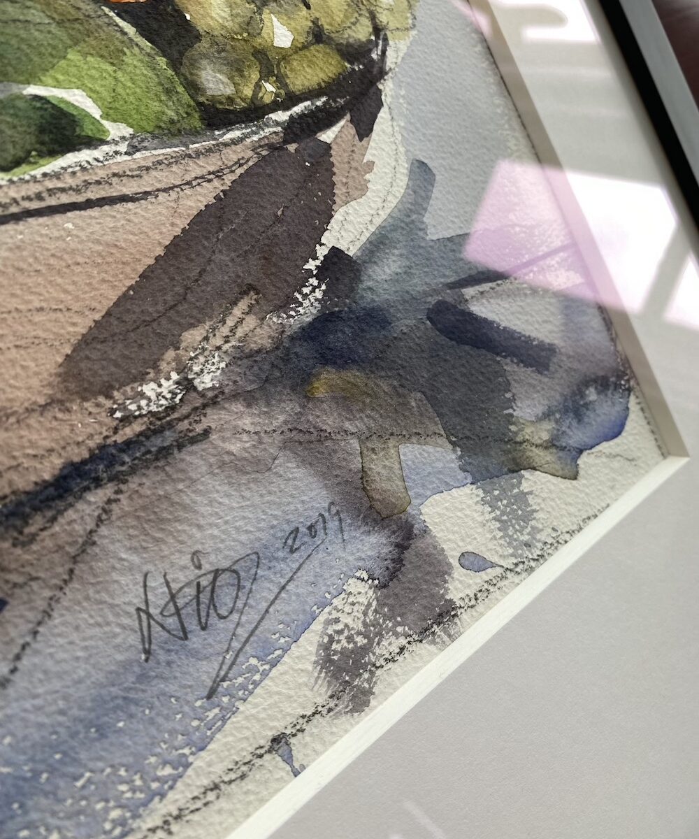 Conservation frame true vu close
