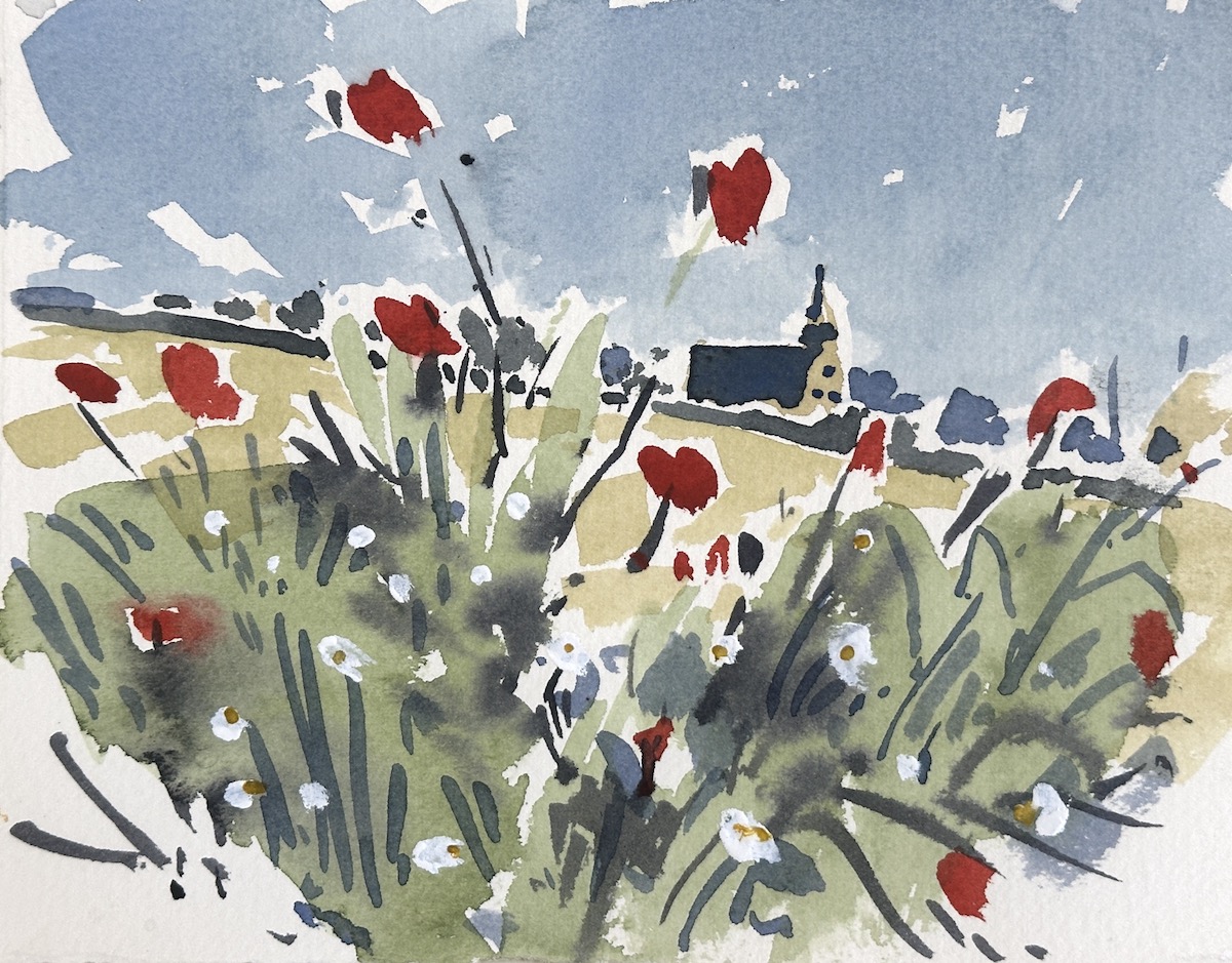 Small wonder field with poppies